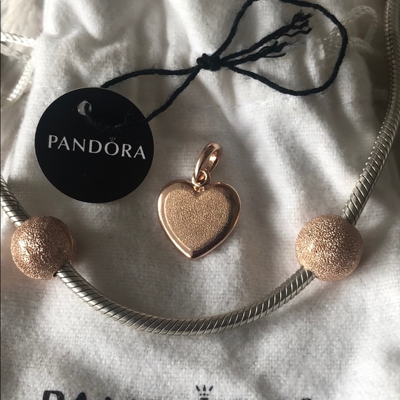 Rose Gold Matte Brilliance Clips - Picture 5 of 6